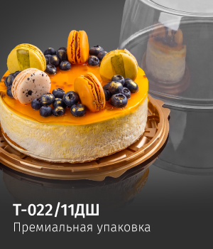 Т-022/11ДШ
