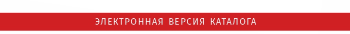 электронная версия.jpg