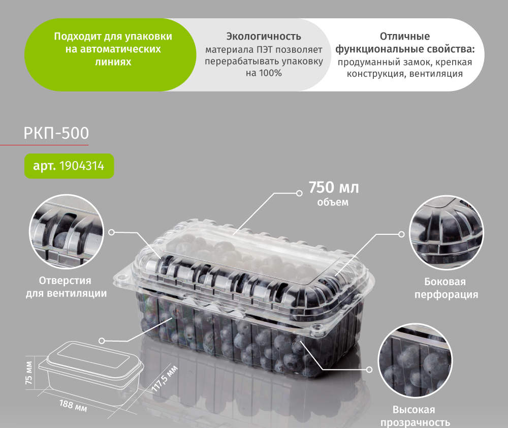 новость-РКП-500-2.jpg